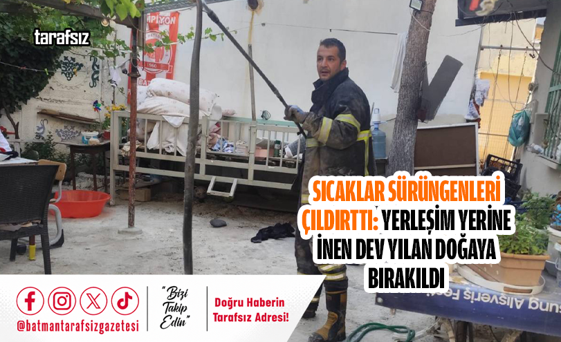 Yerleşim Yerine İnen Dev Yılan Doğaya Bırakıldı
