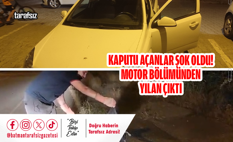 Kaputu Açanlar Şok Oldu! Motor Bölümünden Yılan Çıktı