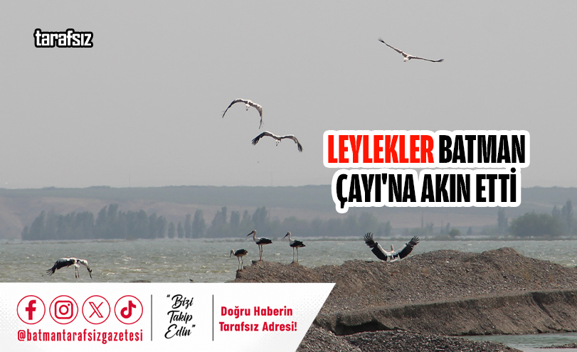 Leylekler Batman Çayı’na Akın Etti