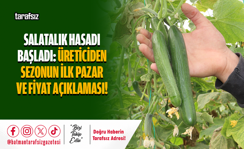 Salatalık Hasadı Başladı: Üretici Fiyatlardan Memnun