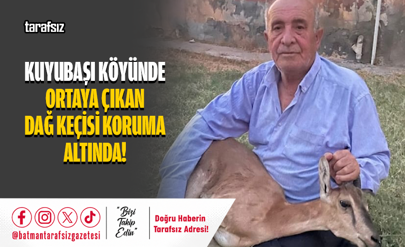 Kuyubaşı Köyünde Ortaya Çıkan Dağ Keçisi Koruma Altında!