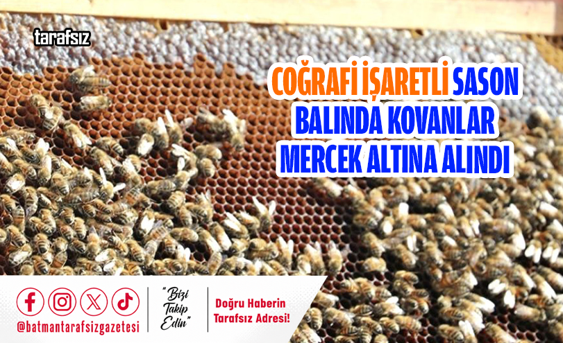 Coğrafi İşaretli Sason Balında Kovanlar Mercek Altına Alındı