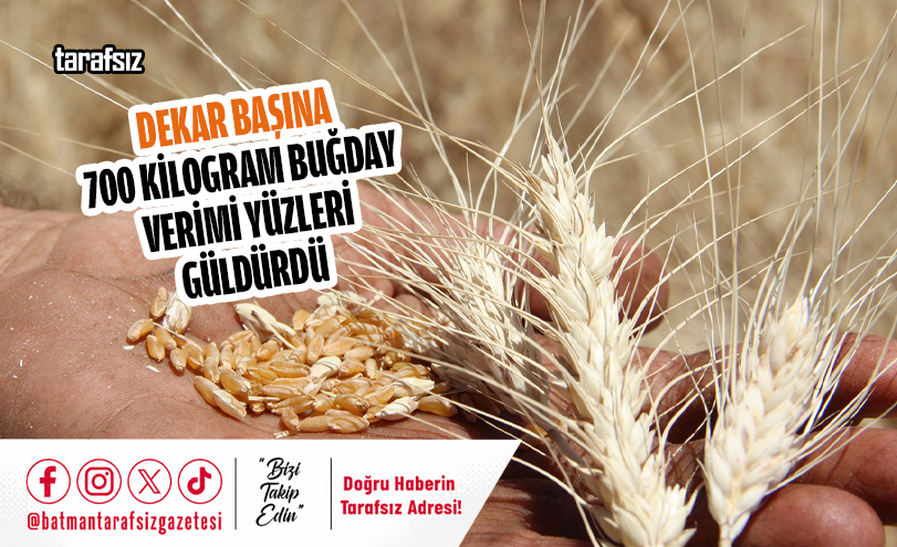 Dekar Başına 700 Kilogram Buğday Verimi Yüzleri Güldürdü