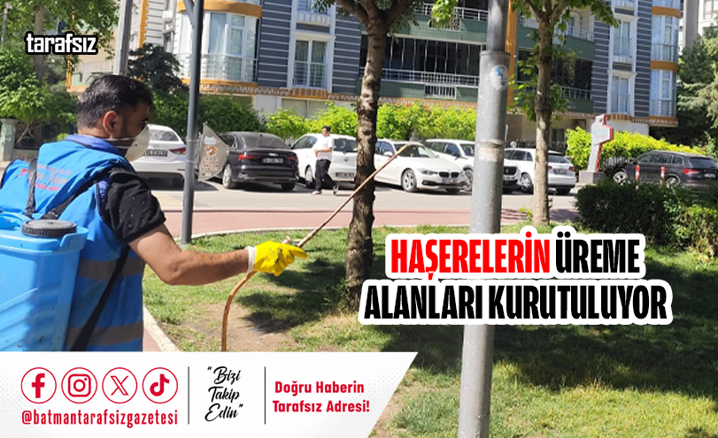 Haşerelerin Üreme Alanları Kurutuluyor