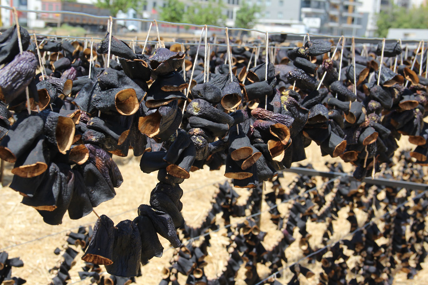Batman Kurutmalık Sebzede Marka Olmayı Hedefliyor