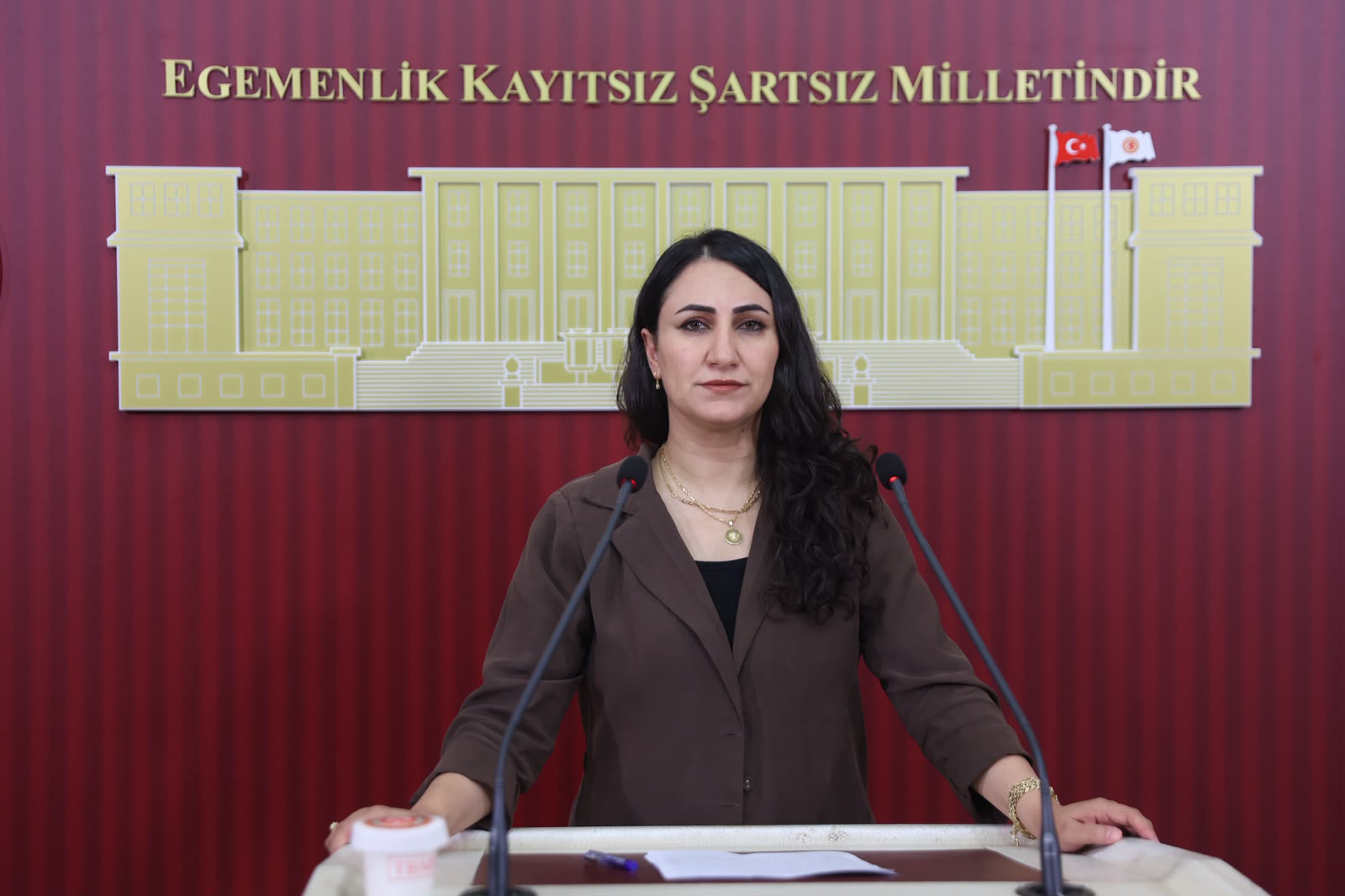Oduncu, Bakım Merkezi İddialarını Meclis’e Taşıdı