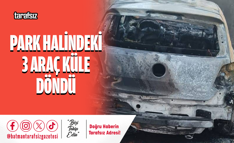 Park Halindeki 3 Araç Küle Döndü