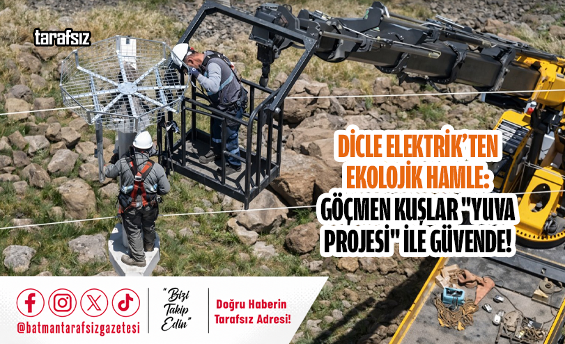 Dicle Elektrik’ten Ekolojik Hamle: Göçmen Kuşlar “Yuva Projesi” ile Güvende!