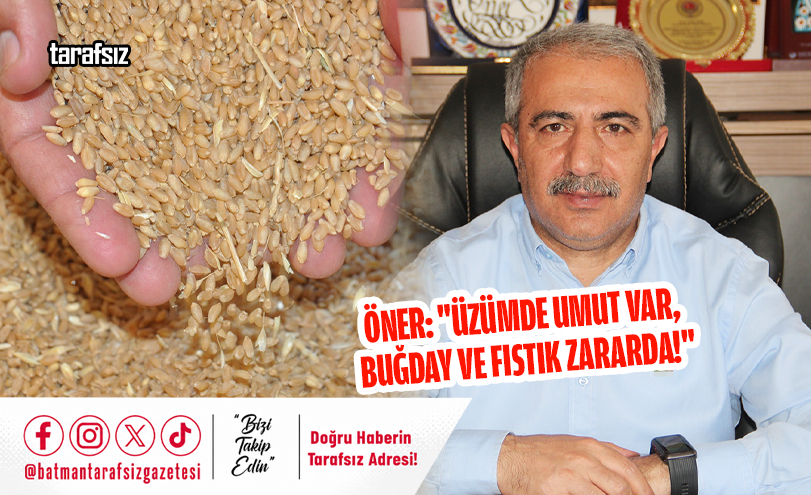 Öner: “Üzümde Umut Var, Buğday ve Fıstık Zararda!”