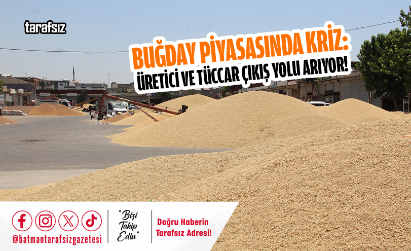 Buğday Piyasasında Kriz: Üretici ve Tüccar Çıkış Yolu Arıyor!