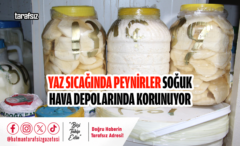 Yaz Sıcağında Peynirler Soğuk Hava Depolarında Korunuyor