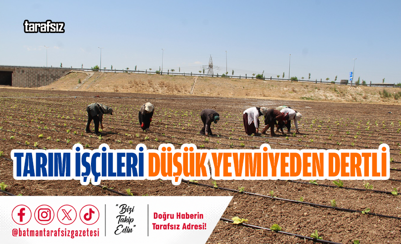Tarım İşçileri Düşük Yevmiyeden Dertli