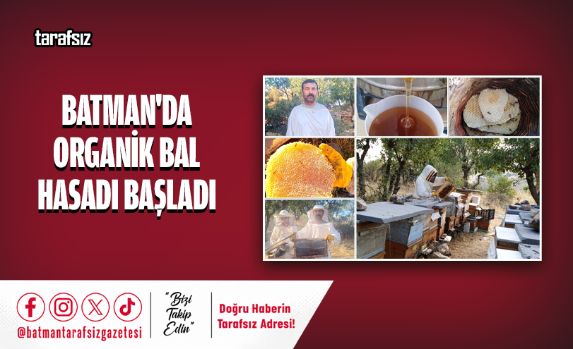 Batman’da Organik Bal Hasadı Başladı