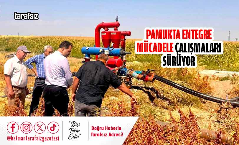 Pamukta Entegre Mücadele Çalışmaları Sürüyor