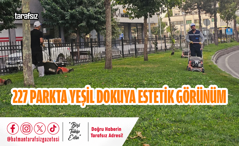 227 Parkta Yeşil Dokuya Estetik Görünüm