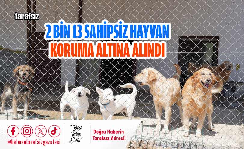 2 Bin 13 Sahipsiz Hayvan Koruma Altına Alındı