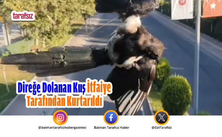 Direğe Dolanan Kuş İtfaiye Tarafından Kurtarıldı