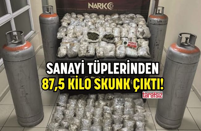 SANAYİ TÜPLERİNDEN 87,5 KİLO SKUNK ÇIKTI!