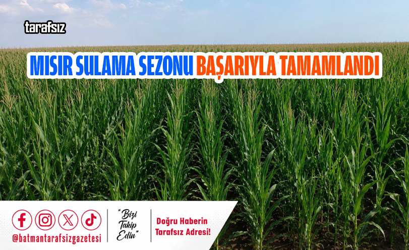 Mısır Sulama Sezonu Başarıyla Tamamlandı