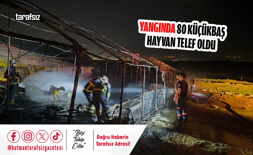 Yangında 80 Küçükbaş Hayvan Telef Oldu