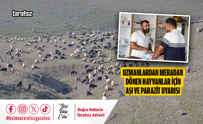Uzmanlardan Meradan Dönen Hayvanlar İçin Aşı ve Parazit Uyarısı