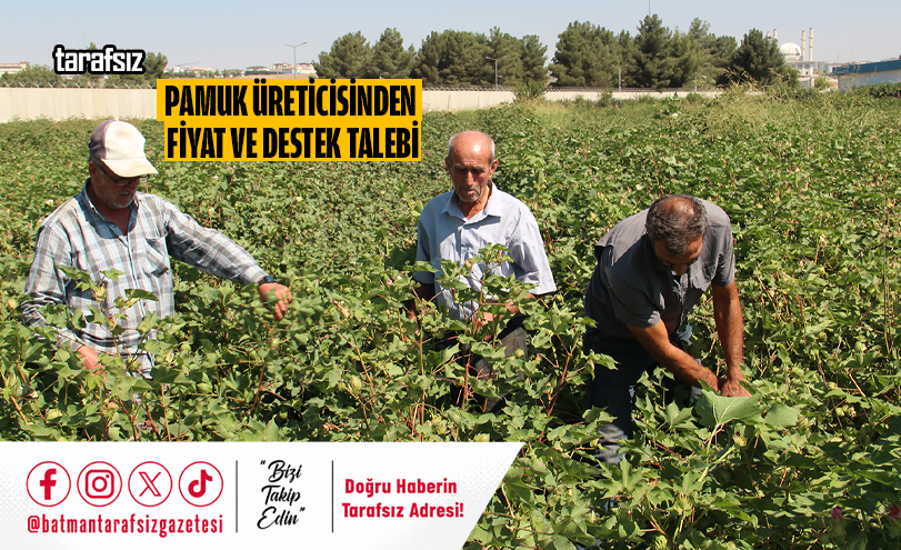 PAMUK ÜRETİCİSİNDEN FİYAT VE DESTEK TALEBİ