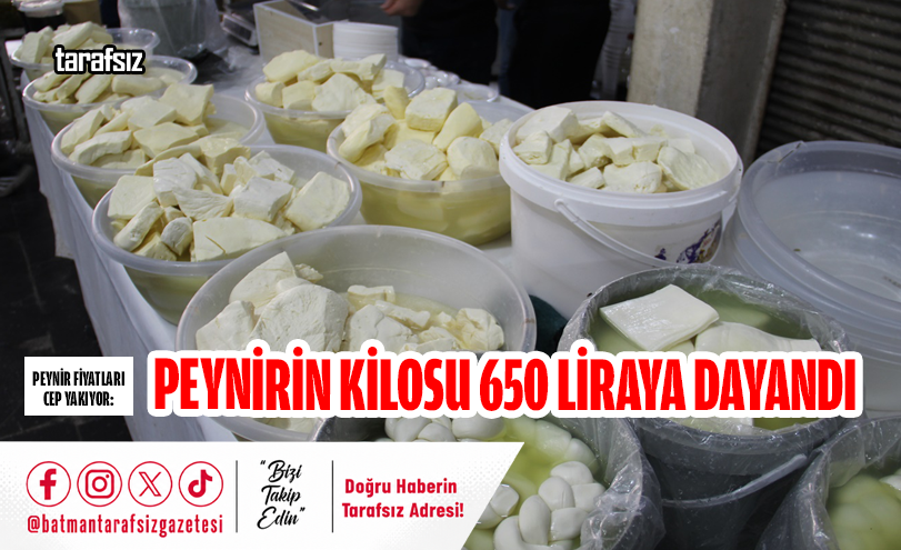 PEYNİRİN KİLOSU 650 LİRAYA DAYANDI
