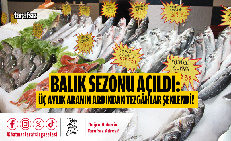 Balık Sezonu Açıldı: Üç Aylık Aranın Ardından Tezgâhlar Şenlendi!